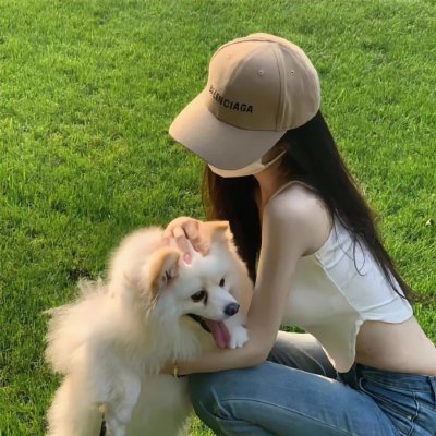 面目全飞